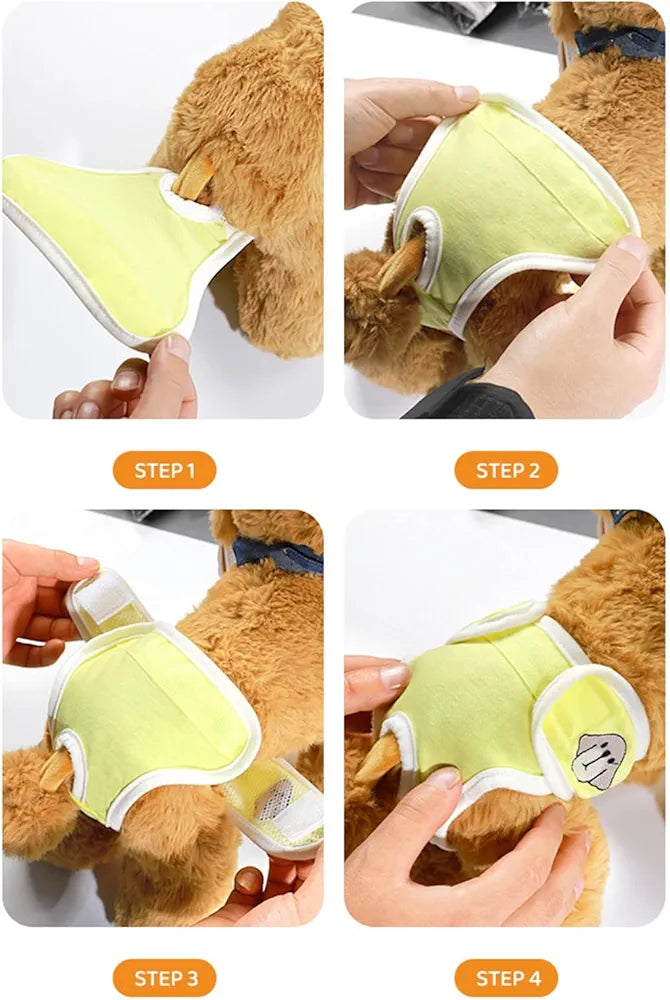 Dog menstrual underwear