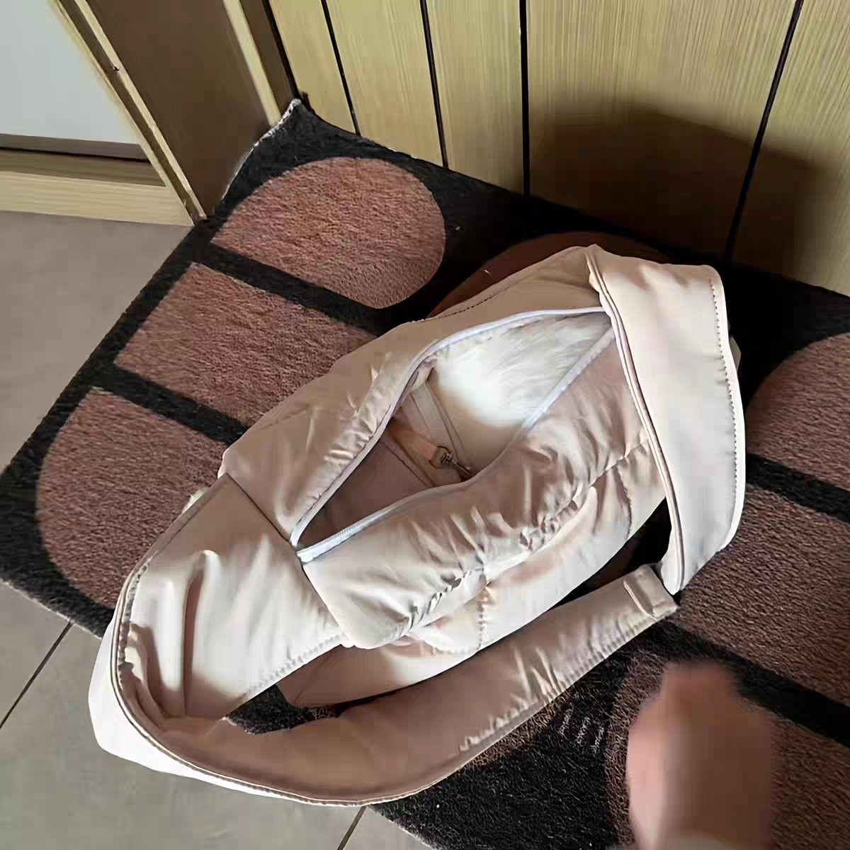 Pet carrier bag for autumn and winter