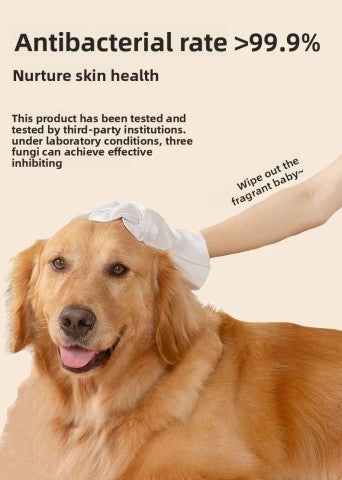 Pet Disposable gloves (120pcs)