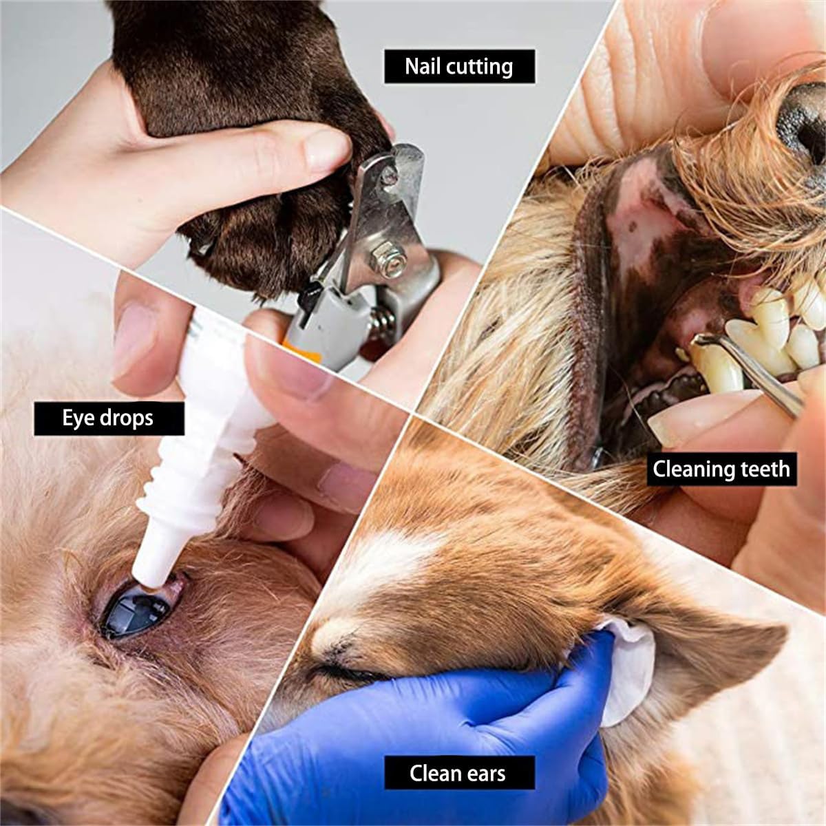 Pet grooming hammock