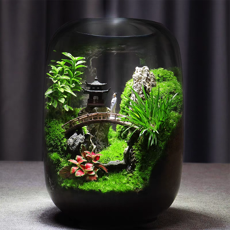 【Remembering】Office Desk Moss Micro-landscape