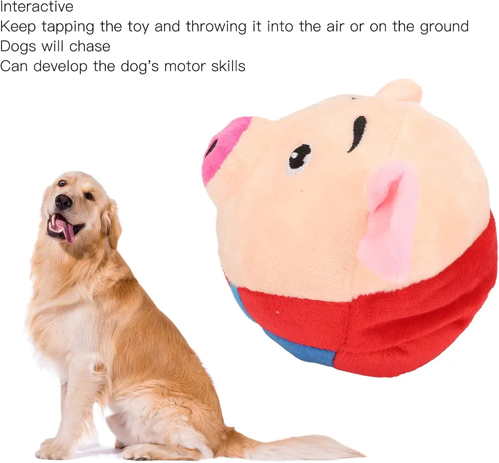 Interactive dog toy pig 🐷