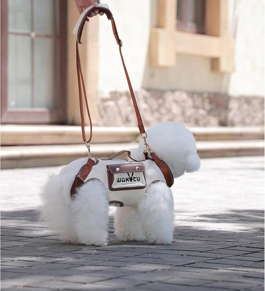 Pet carrier shoulder bag