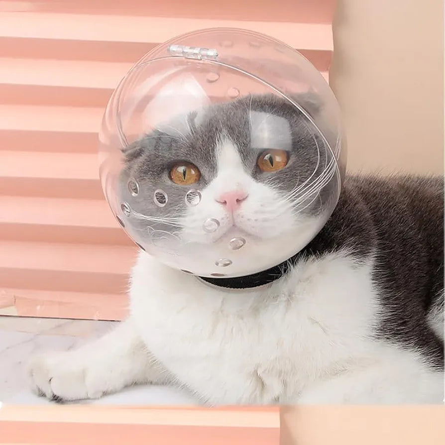 Cat Head protective cover