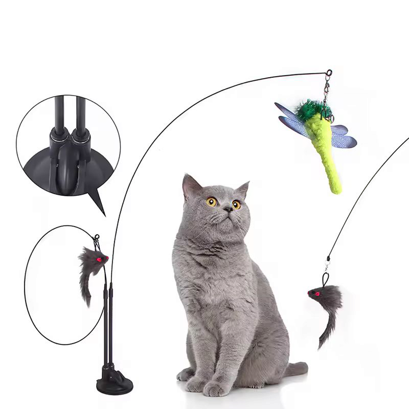 Cat wand toys