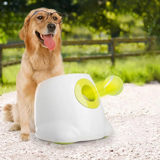 Automatic Ball Launcher Toy