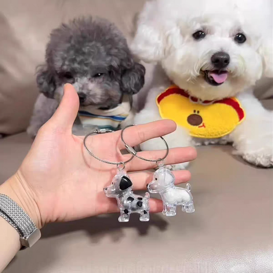 Dog Hair Storage Pendant Keychain