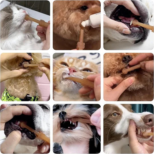 Pet silicone toothbrush kit