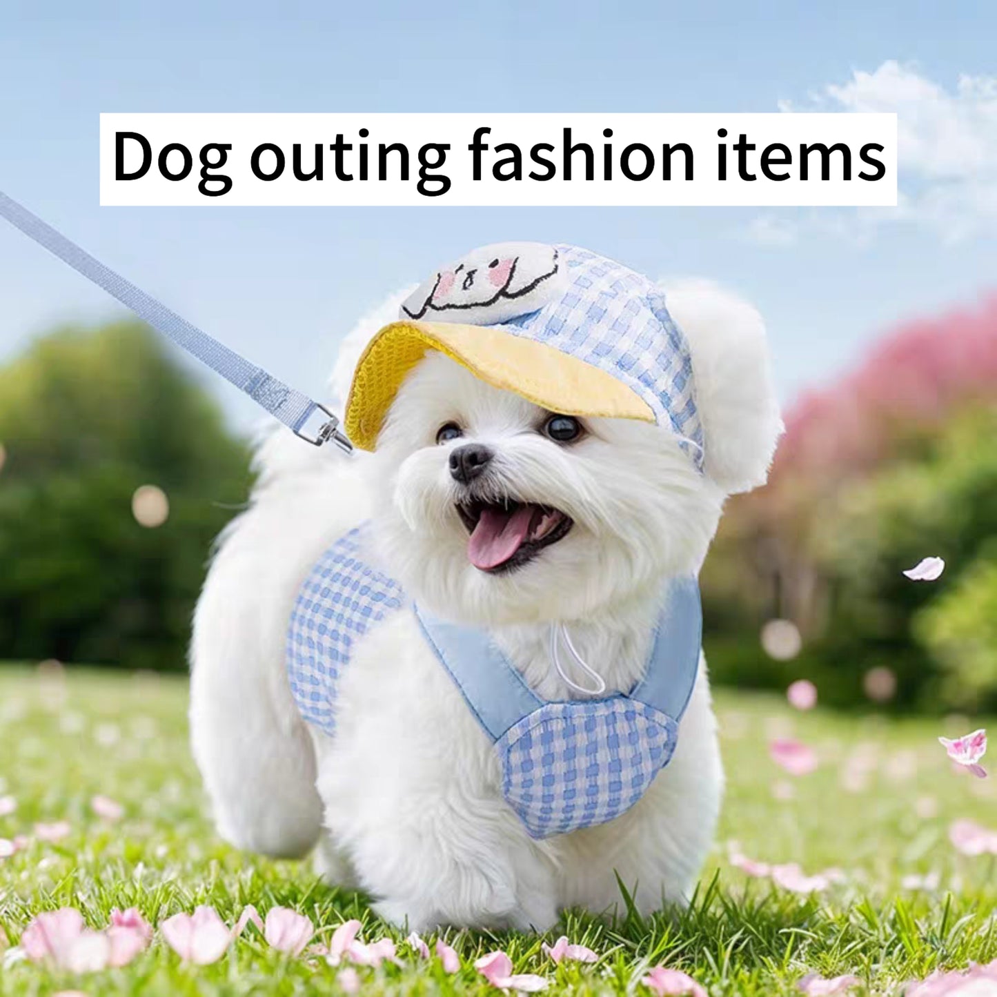 Cute pet harness with hat