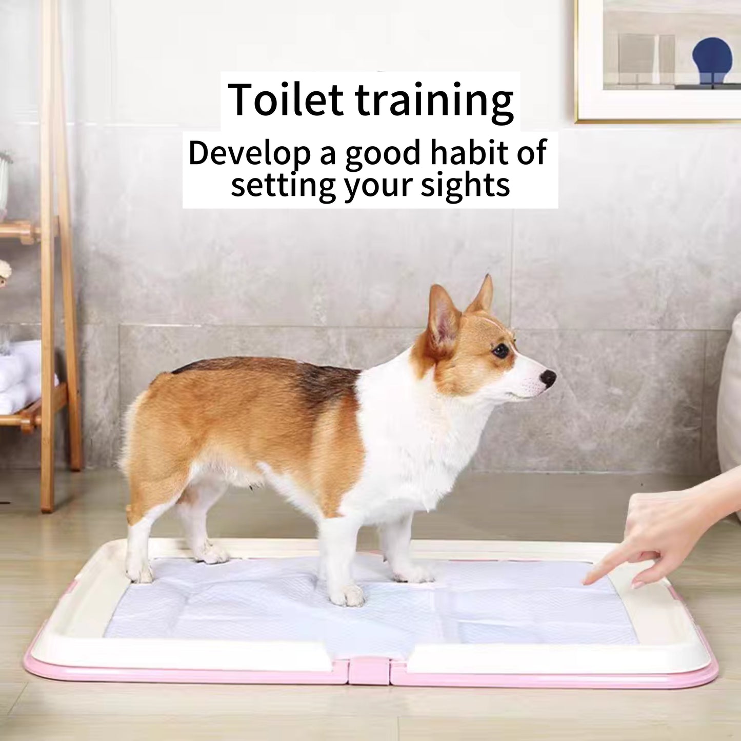 Foldable Dog Toilet Potty Tray + Pads