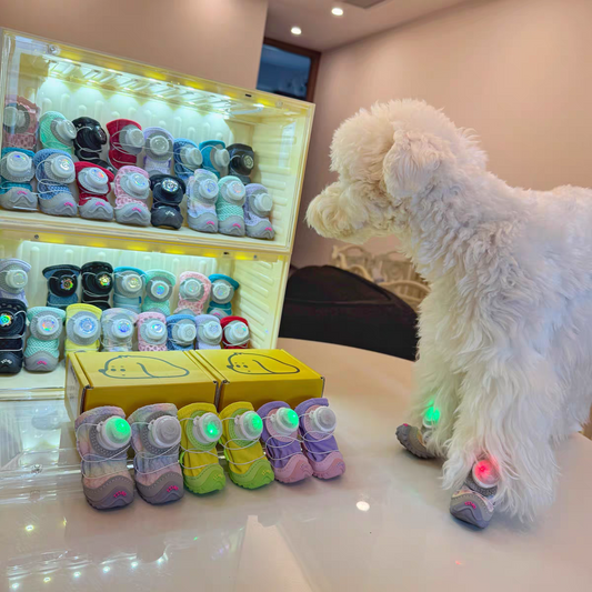 Winter dog shoes with light (2 pairs)