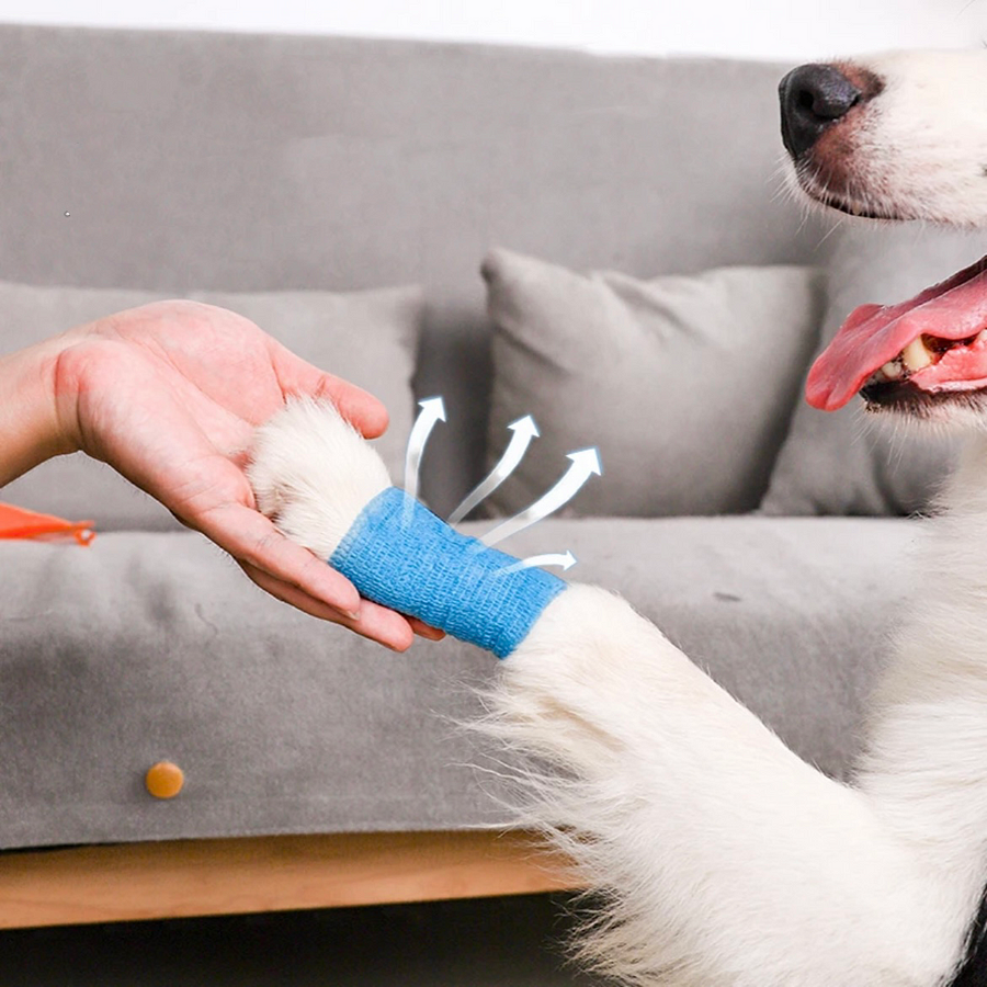 Pet paw cover and bandage wrap