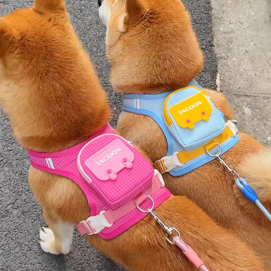 Small Backpack style leash