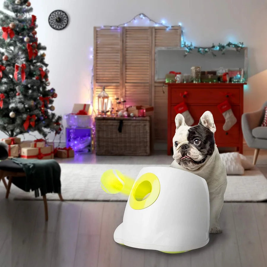 Automatic Ball Launcher Toy