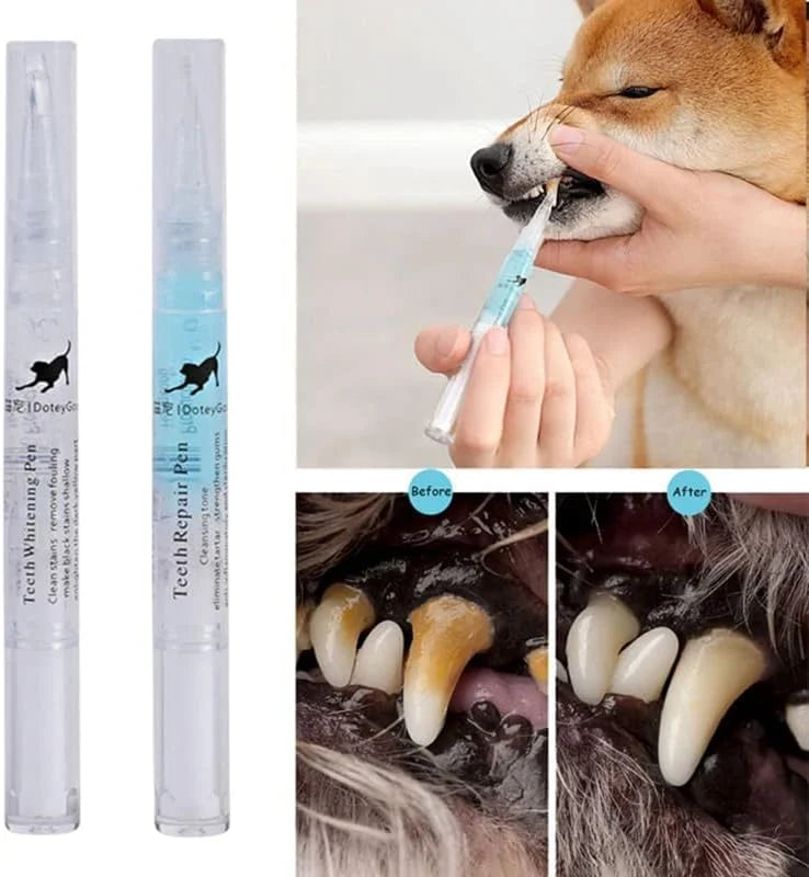 Dog teeth repairing kit