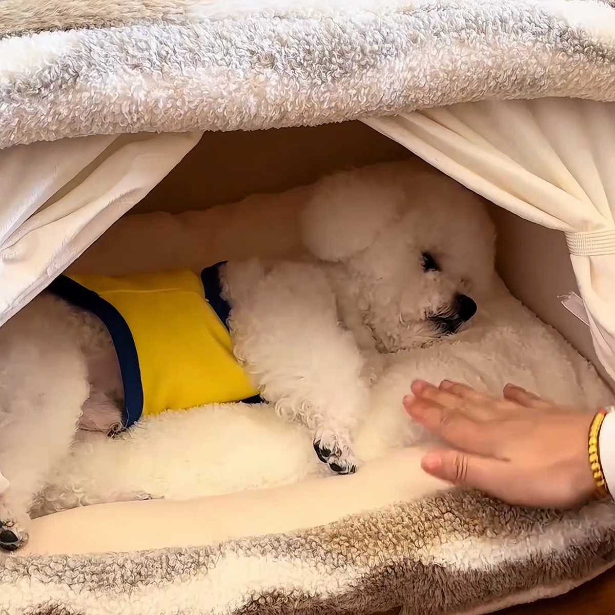 Winter and Autumn Pet bed