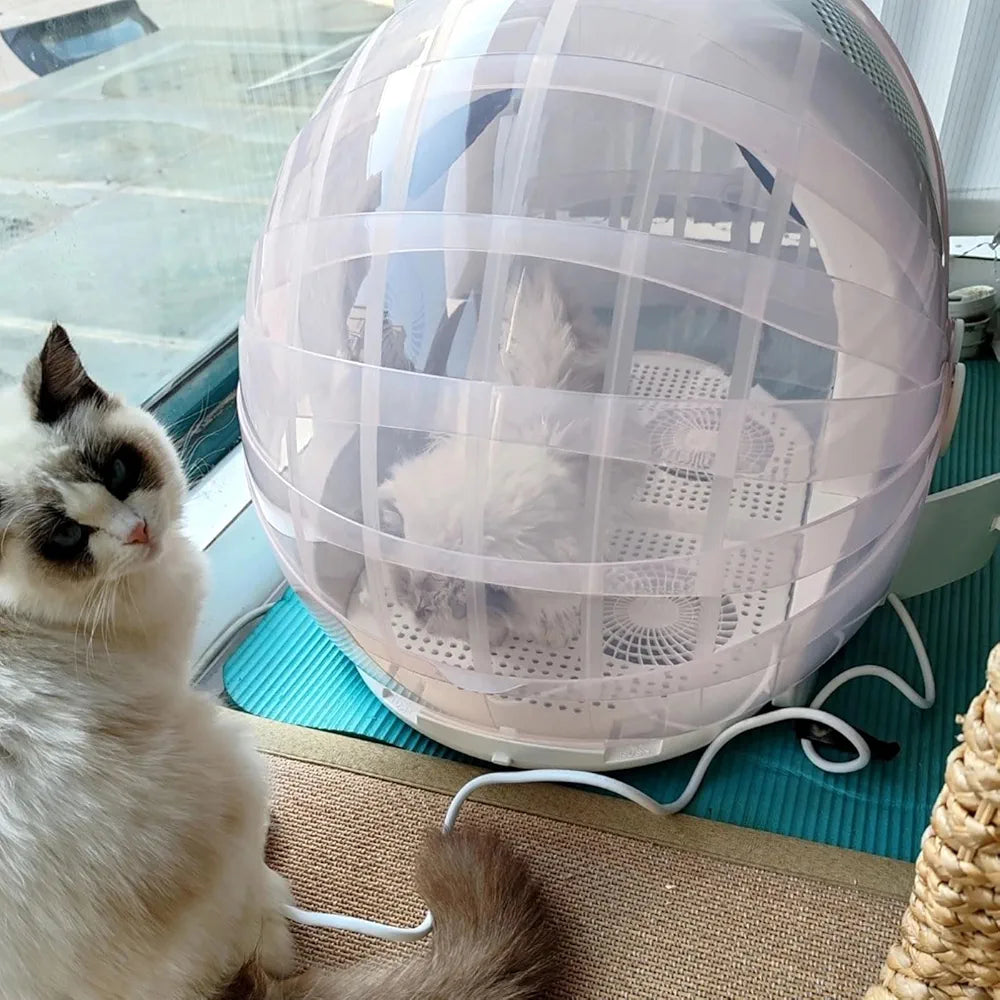 Automatic Foldable Pet Drying Box