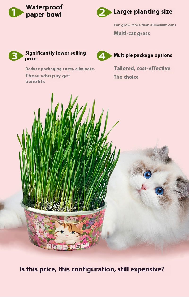 Cat organic grass