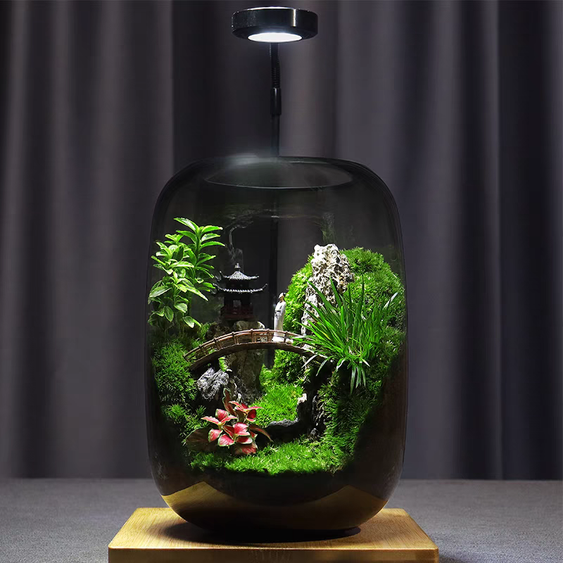 【Remembering】Office Desk Moss Micro-landscape