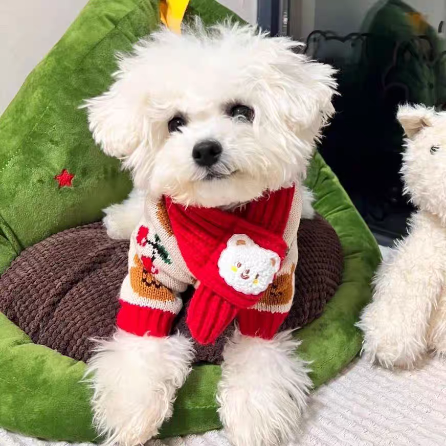 Small Pet scarf 🧣