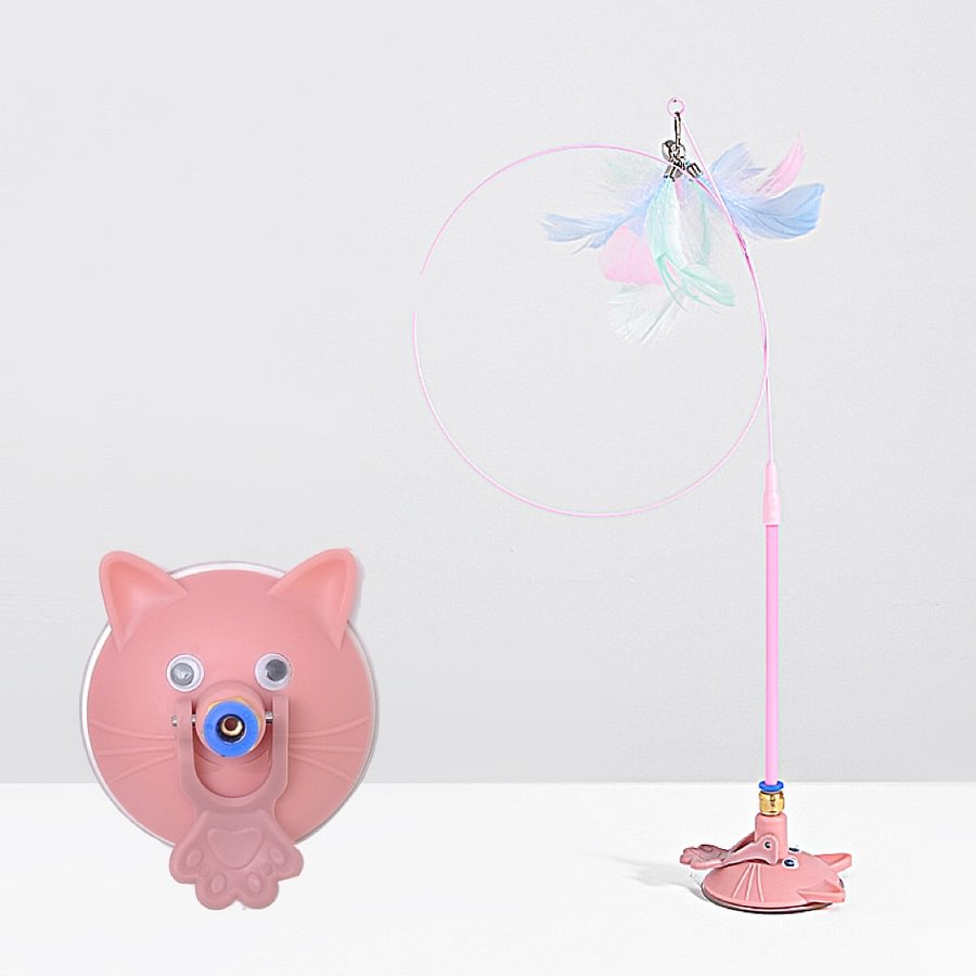 Cat wand toys