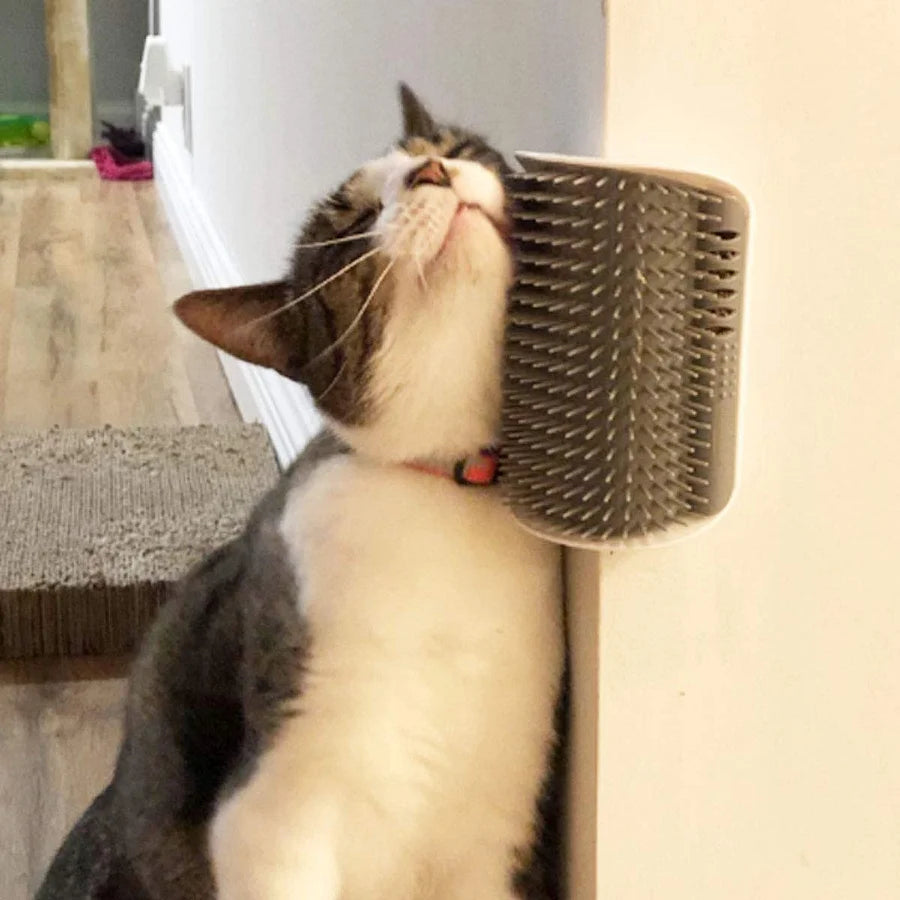 Cat self groomer