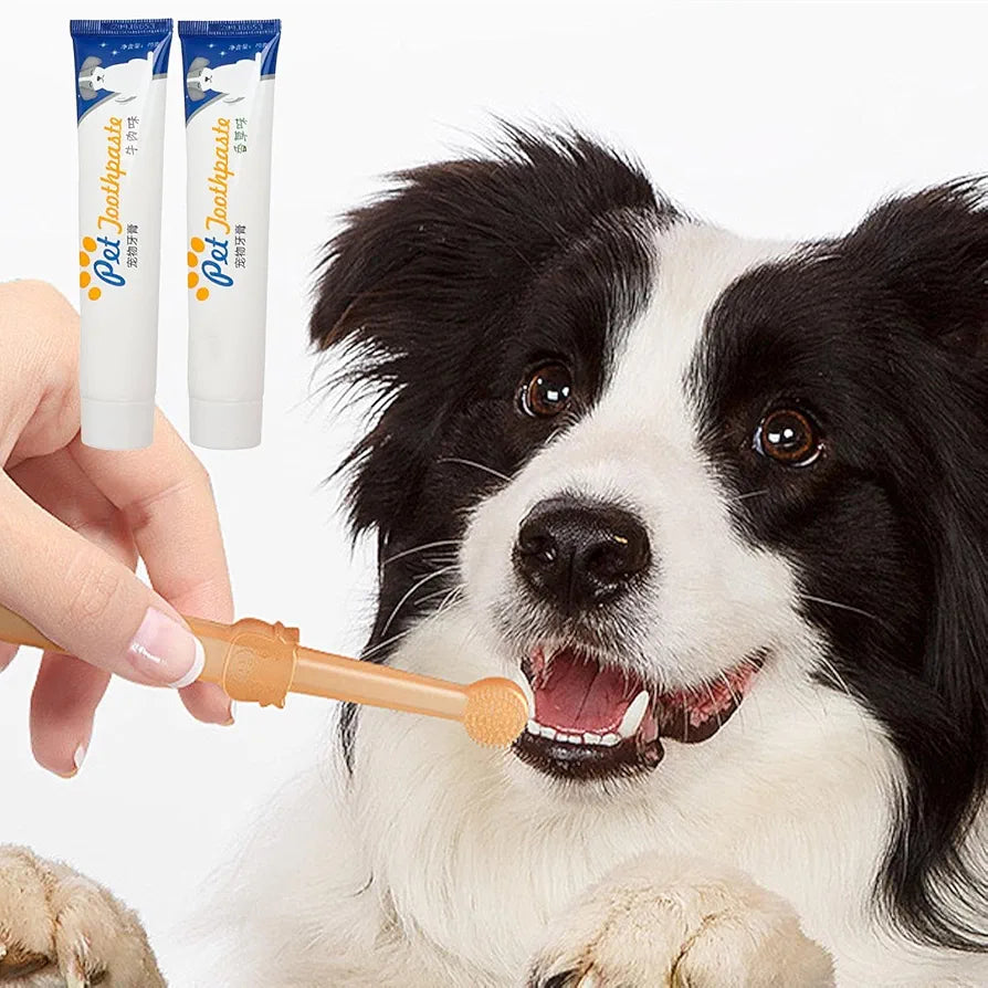 Pet toothpaste with brush