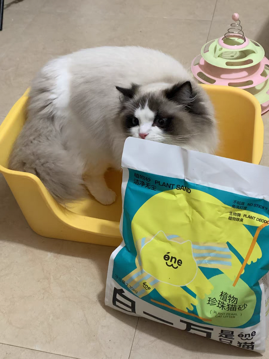 Plant cassava cat litter 2.35kg