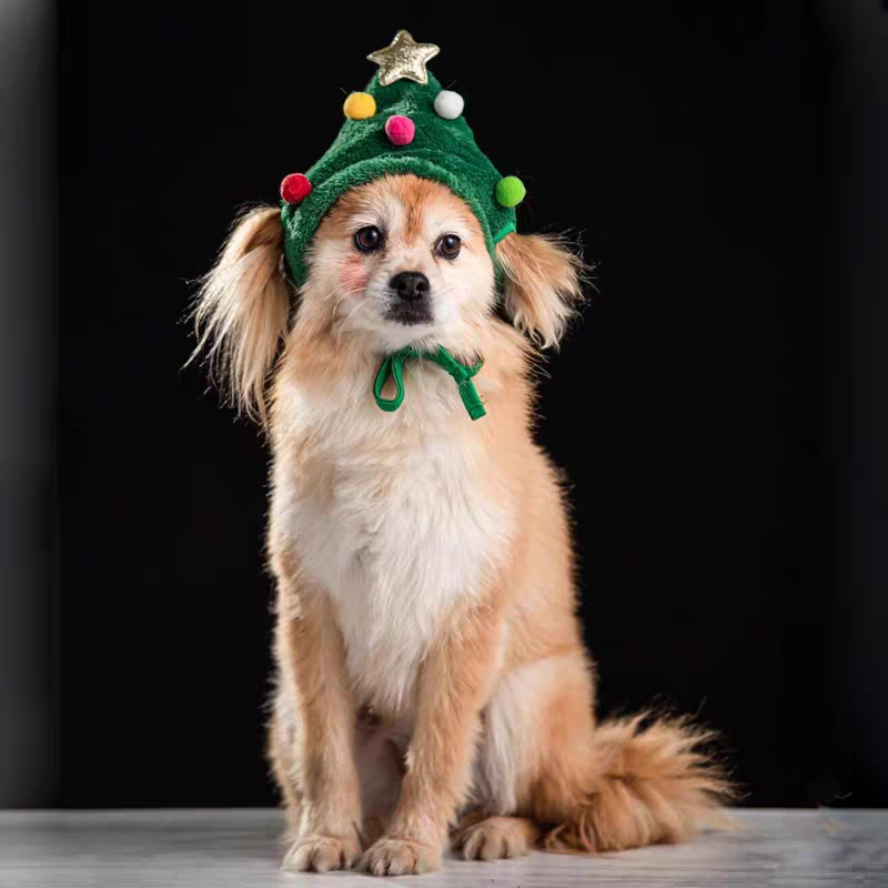 Pet Christmas dress