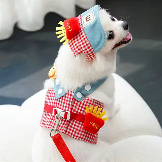 Cute dog spring summer harness (premium quality)