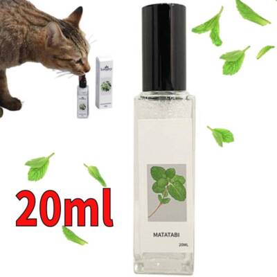 Catnip happy water
