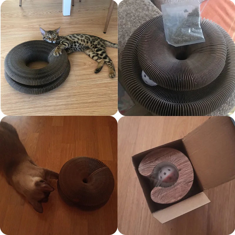Magic Ball Toy